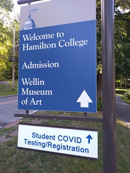 CovidHamiltonSign